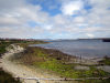 Falkland islands / Ilhas Malvinas - East Falkland: Port Stanley: the beach - photo by C.Breschi