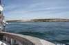 Falkland islands - East Falkland - Salvador - the coast - sailing - photo by Christophe Breschi