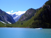 Alaska's Inside Passage - Tracy Arm Fjord: slopes (photo by Robert Ziff)