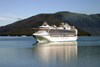 Alaska's Inside Passage - Tracy Arm Fjord : Cruise ship Sapphire Princess entering the fjord (photo by Robert Ziff)