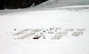 Alaska - Skagway: dogsled camp at Denver Glacier - aerial view (photo by Robert Ziff)