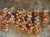 Kamnik, Kolonj, Kor county, Albania: onion braids on a wall - photo by J.Kaman