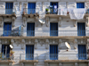 Alger - Algrie: faade blanc et bleu avec antennes paraboliques et schage du linge - 'Alger la Blanche' - avenue Pasteur - photo par M.Torres