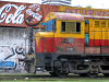 Argentina - Buenos Aires: last train to Trancentral - photo by  M.Bergsma