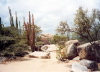 Aruba - Hooiberg: land of the cactus (photo by M.Torres)