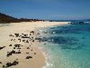 Ascension island: stones on the beach ( photo by Cpt Peter)