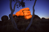 Devil's Marbles Conservation Reserve, NT, Australia: granite rocks and tree - photo by Y.Xu