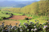 Azores / Aores - concelho de Nordeste: landscape of Eastern So Miguel / paisagem do leste de So Miguel - photo by A.Dnieprowsky