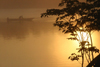 Brazil / Brasil - Rio Urubu / Urubu river : sunset / por do sol (photo by N.Cabana)