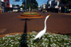 Brazil / Brasil - Dourados: heron - Marcelino Pires avenue / gara (photo by Marta Alves)