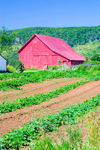 Canada 401 Scenic View of reed barn in the Annapolis Valley, Nova Scotia, Canada - photo by D.Smith