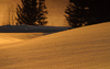 Canada / Kanada - Saskatchewan: orange sunset reflecting on the snow in scenic Northern Canada - photo by M.Duffy