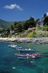 Zapallar, Valparaso region, Chile: mansions and fishing boats at anchor  transparent waters of the Pacific Ocean - photo by C.Lovell