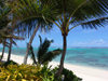 Cook Islands - Rarotonga island: Titikaveka beach - photo by B.Goode