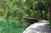 Croatia - Plitvice Lakes National Park: wooden footbridge - photo by P.Gustafson