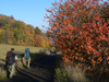 Czech Republic - Ceske Stredohori mountains: Autumn foliage - Usti nad Labem Region - photo by J.Kaman