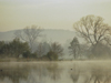 England (UK) - Henley-on-Thames (Oxfordshire): River Thames (photo by T.Marshall )