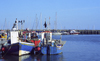 Scarborough, North Yorkshire, England: Fishing boats - harbour - photo by D.Jackson