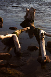 Estonia - Parnu: Driftwood on the Jetty, Parnu Beach - photo by K.Hagen