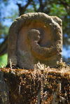 Gondar, Amhara Region, Ethiopia: Debre Berham Selassie church - lion's tail - photo by M.Torres