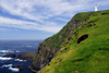 Mykinesholmur islet, Mykines island, Faroes: lighthouse and cliff at the western edge of Mykinesholmur - end of a long hiking and the wersternmost point in the archipelago - photo by A.Ferrari