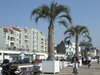 Le Havre, Seine-Maritime, Haute-Normandie, France: palm trees and bikers, Seafront - Normandy - photo by A.Bartel