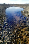 86 Franz Josef Land: Tidal pool, Bell Island - photo by B.Cain