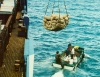 French Polynesia - Fatu Hiva island - Marquesas: loading copra, the local cash crop (photo by G.Frysinger)