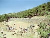 Greece - Delphi / Thelfous / Delfi (Sterea Ellada, Fokida province): the stadium - photo by M.Bergsma