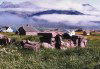 Greenland - Igaliko: ruins of the old stone church - photo by G.Frysinger