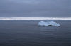 Greenland - Ilulissat / Jakobshavn - lone iceberg - Jakobshavn Glacier, part of Ilulissat Icefjord - photo by W.Allgower