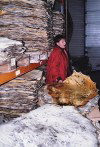 Qaqortoq: seal skins (photo by G.Frysinger)