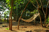 Rubane Island, Bijags Archipelago - UNESCO biosphere reserve, Bubaque sector, Bolama region, Guinea Bissau / Guin Bissau: Hotel Punta Anchaca, vegetation and hammock / Hotel Punta Anchaca, vegetao, rede de descanso - photo by R.V.Lopes