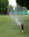 Israel - Sprinkler - photo by E.Keren