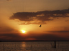 Italy / Italia - Trasimeno lake: sunset (photo by Emanuele Luca)