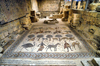 Mount Nebo - Madaba governorate - Jordan: mosaic in the old diaconicon baptistry of the basilica, depicting pastoral and hunting scenes - photo by M.Torres