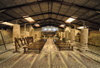 Mount Nebo - Madaba governorate - Jordan: main aisle of the Basilica - ruins and metal roof - photo by M.Torres