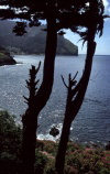 Chile - Valparaso Region - Juan Fernandez islands - Juan Fernandez islands - Robinson Crusoe island: the coast line - Bahia Cumberland - San Juan Bautista to the left (photo by Willem Schipper)