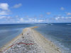 Kingman Reef: looking at the Ocean - photo by Schwartz (in P.D.)