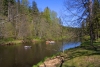 Latvia - Mazsalaca: Salaca river - rafting / upe (Valmieras Rajons- Vidzeme) (photo by A.Dnieprowsky)