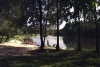 Latvia - Strenchi - Gauja: enjoying the river - kayaks (Valkas Rajons - Vidzeme) (photo by A.Dnieprowsky)