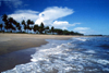 Grand Bassa County, Liberia, West Africa: on the beach - coconut trees and white - tropical beach - photo by M.Sturges