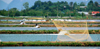 Prawn farm, Langkawi, Malaysia. photo by B.Lendrum