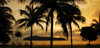 Beach at sunset - coconut trees, Langkawi, Malaysia. photo by B.Lendrum