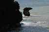 Bako National Park, Sarawak, Borneo, Malaysia: Sea Stack - natural monolith -  eroded rock at Telok Pandan Kecil - Teluk Pandan Trail - Batu Belah - photo by A.Ferrari