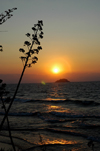 Senga Bay, Lake Nyasa, Central region, Malawi: sunrise - islet and century plants - photo by D.Davie