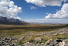 Mongolia - Uvs province: trek (photo by Ade Summers)