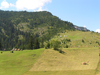 Montenegro - Crna Gora - Durmitor national park: agricultural intrusion - field - crop - photo by J.Kaman