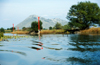 Montenegro - Lake Skadar: Virpazar channel - photo by D.Forman