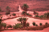 Morocco / Maroc - Merzouga: barriers to stop the advance of the desert sands - photo by F.Rigaud